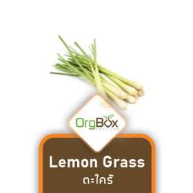 Organic Lemongrass (ตะไคร้) 200 g.